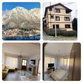 B House Bușteni Buşteni